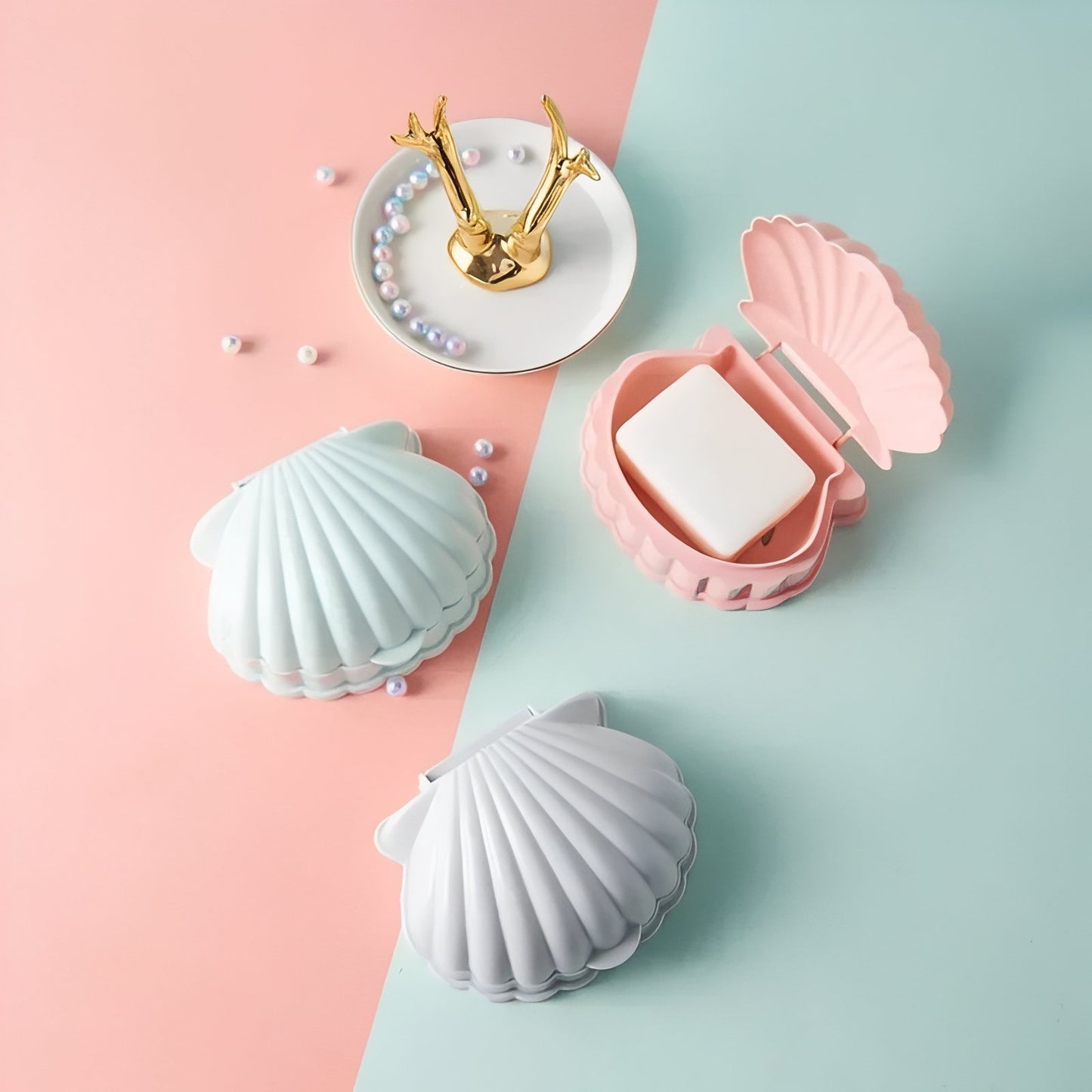 Boîte À Savon Coquillage Pour Voyage